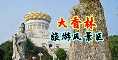 肏逼网站大片中国浙江-绍兴大香林旅游风景区